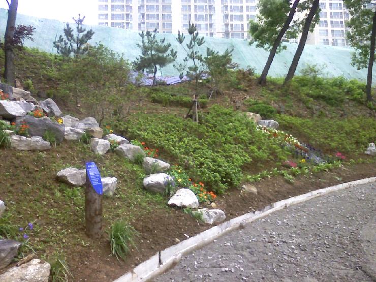 200908_006.jpg