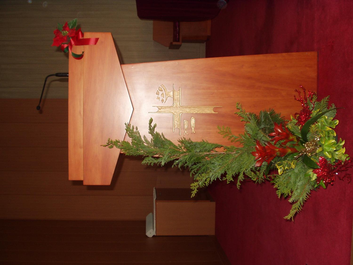 P1010005-1.JPG