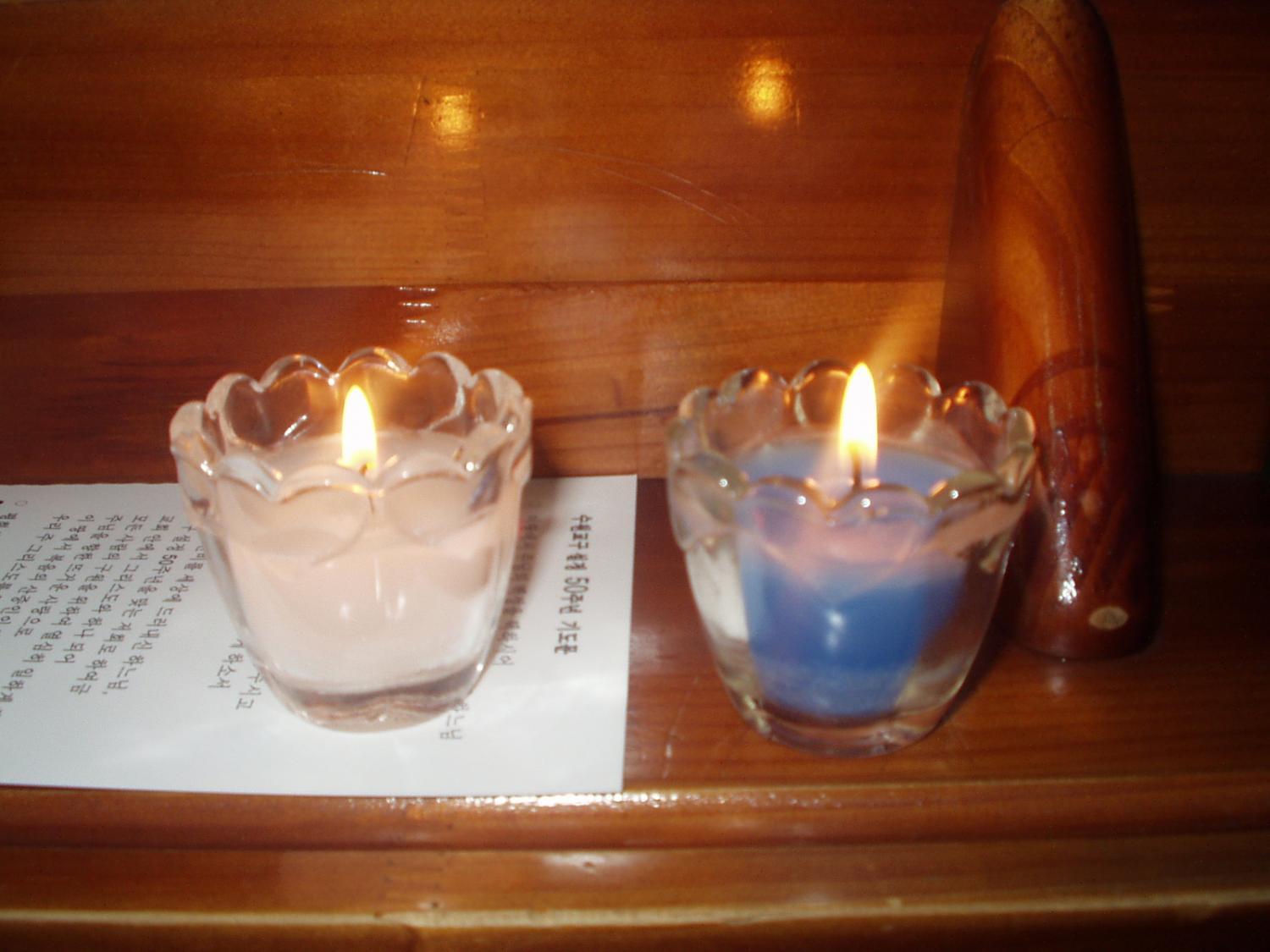 P1010008.JPG