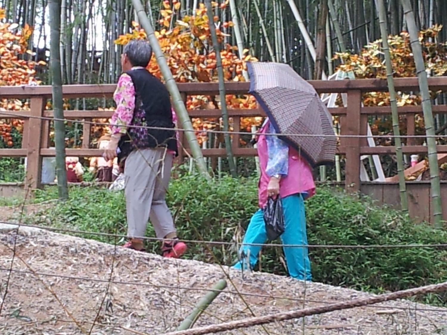 20120903_135609.jpg
