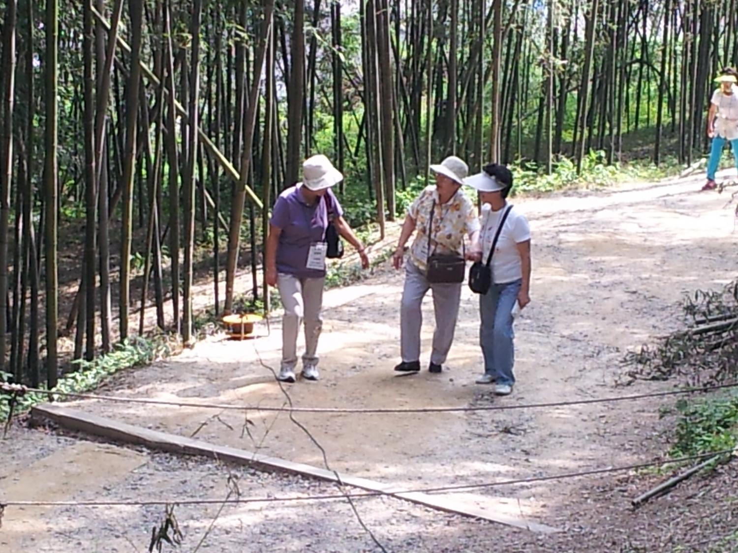 20120903_135655.jpg