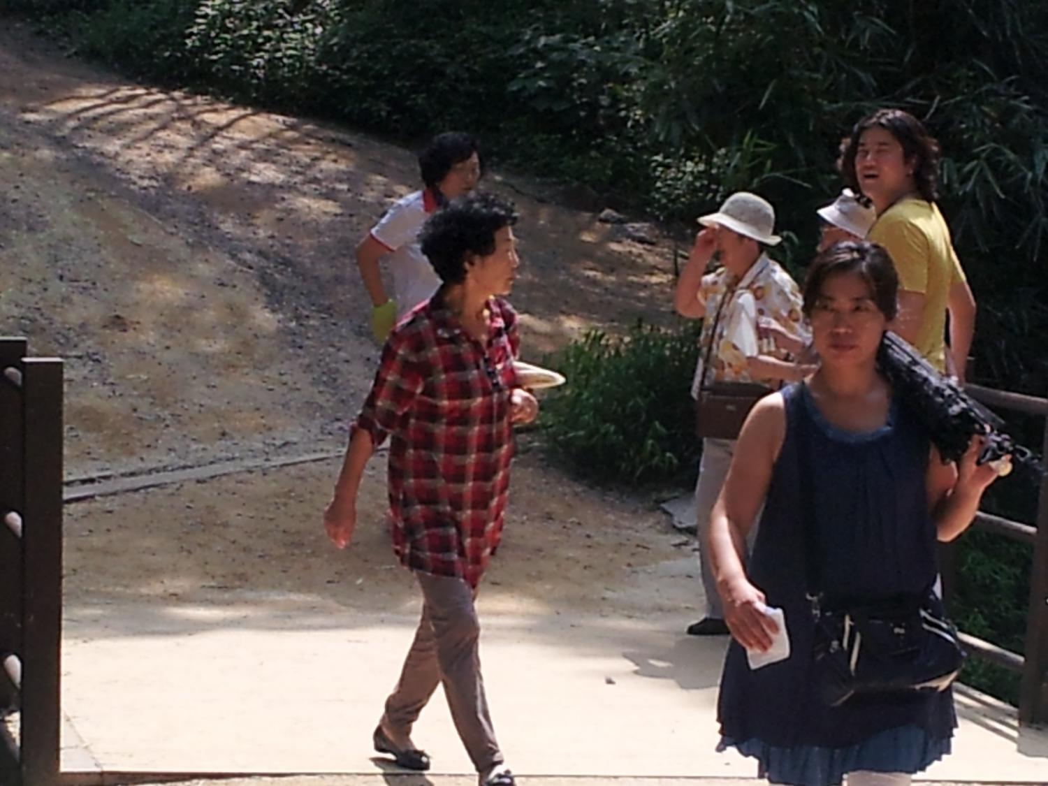 20120903_135356.jpg