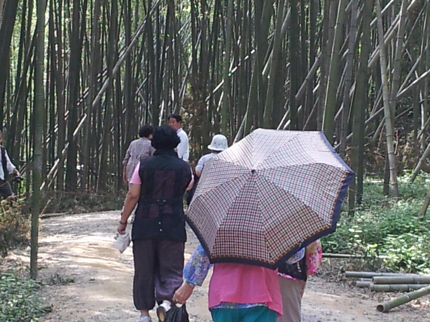20120903_135629.jpg