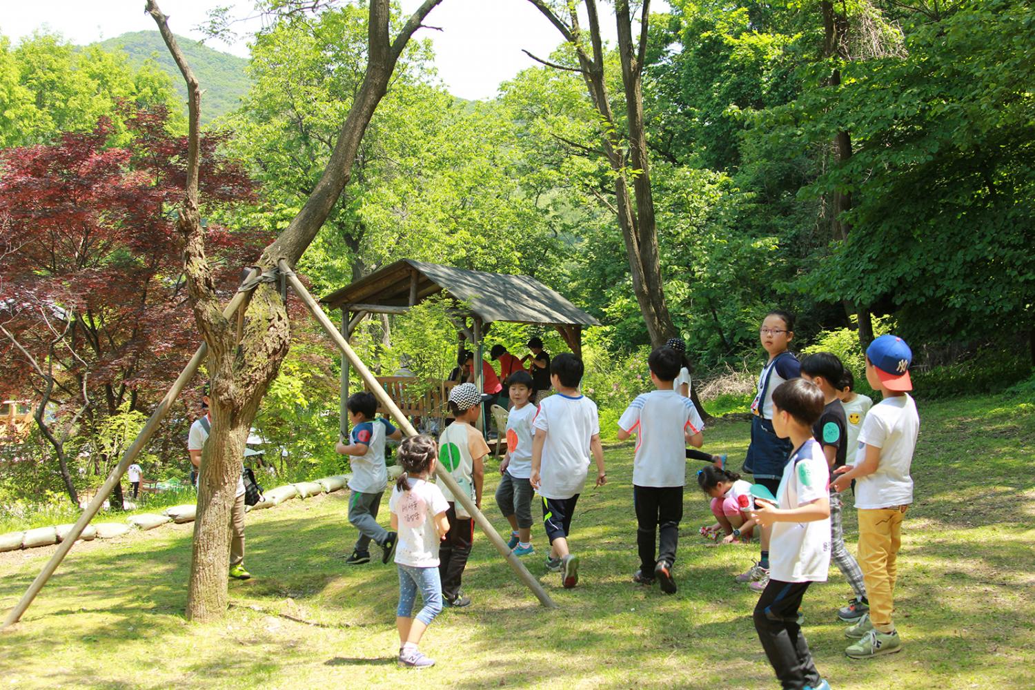 2015_ss_HL (137).JPG