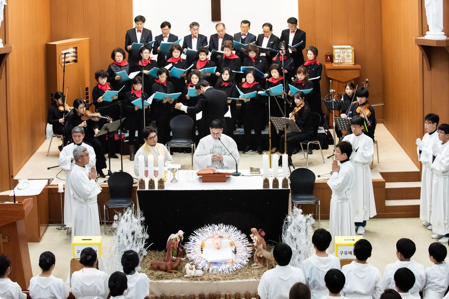 CDS_2020-11.jpg