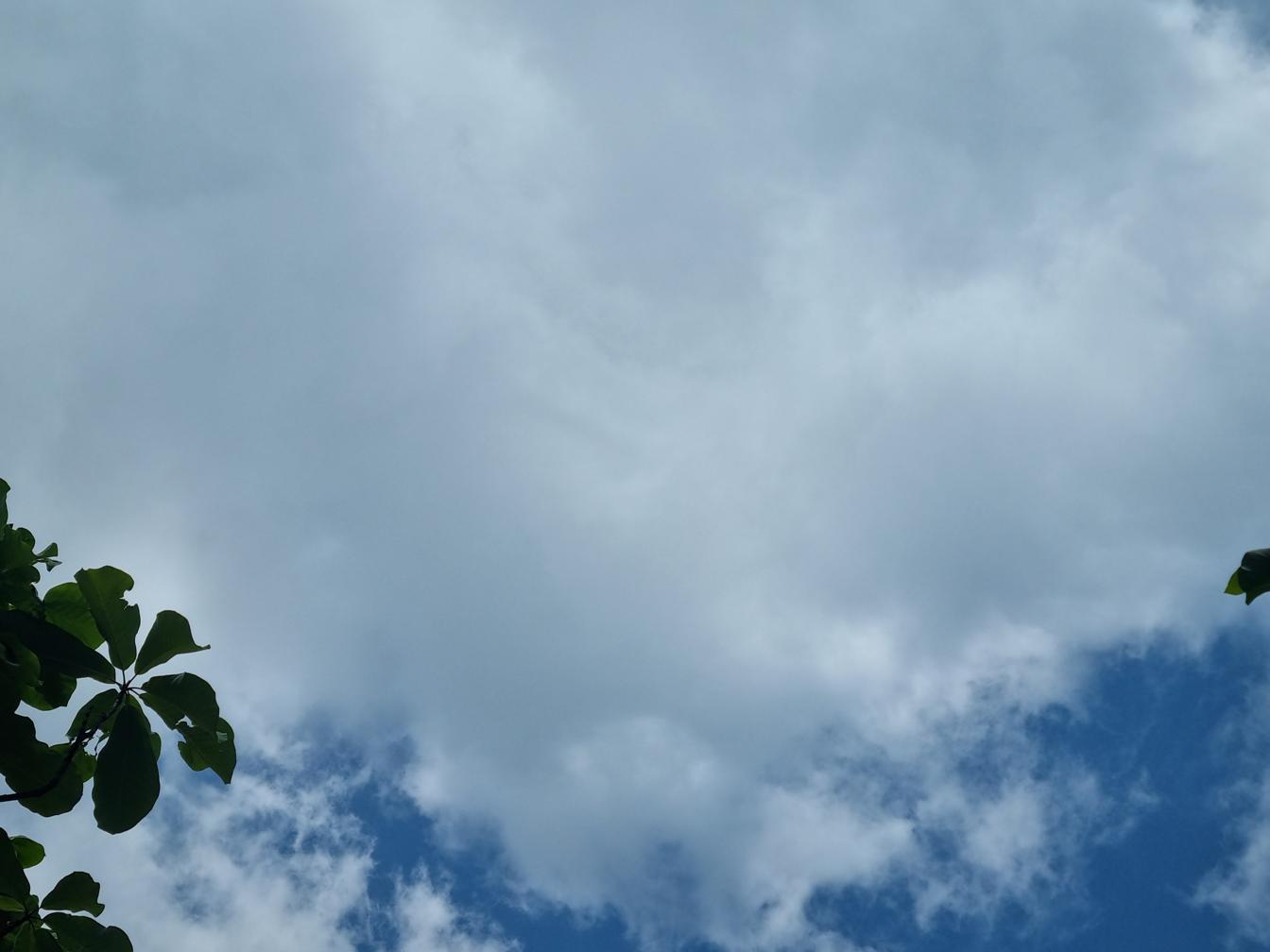 20240518_111026.jpg