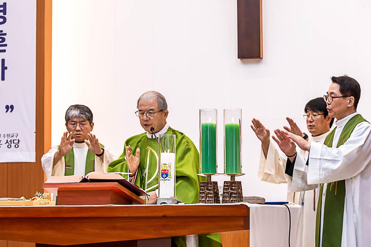 CDS1529.jpg