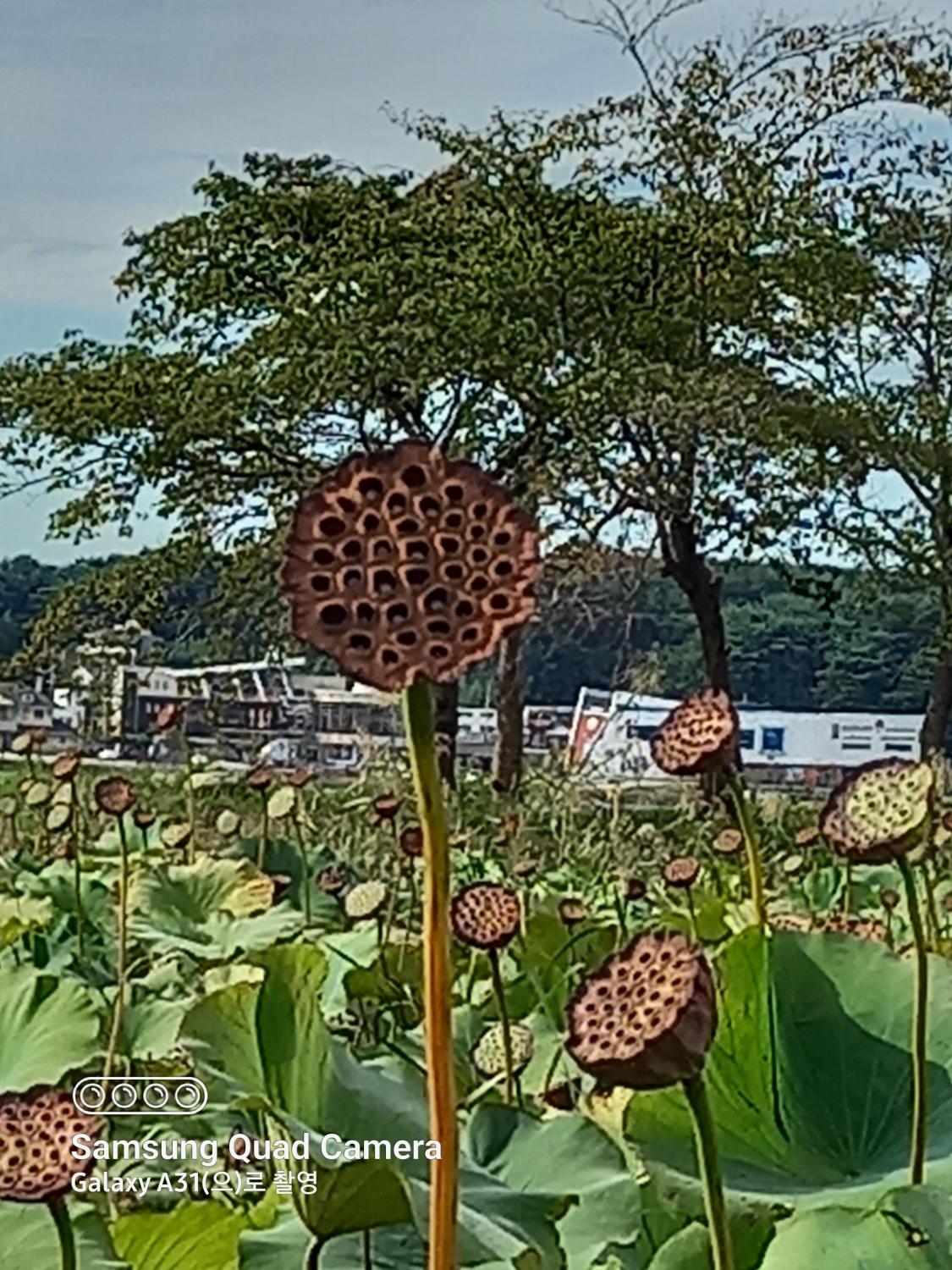 20220926_150301.jpg