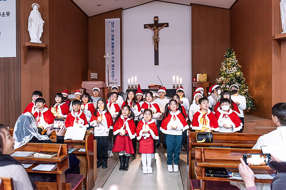 CDS7077.jpg