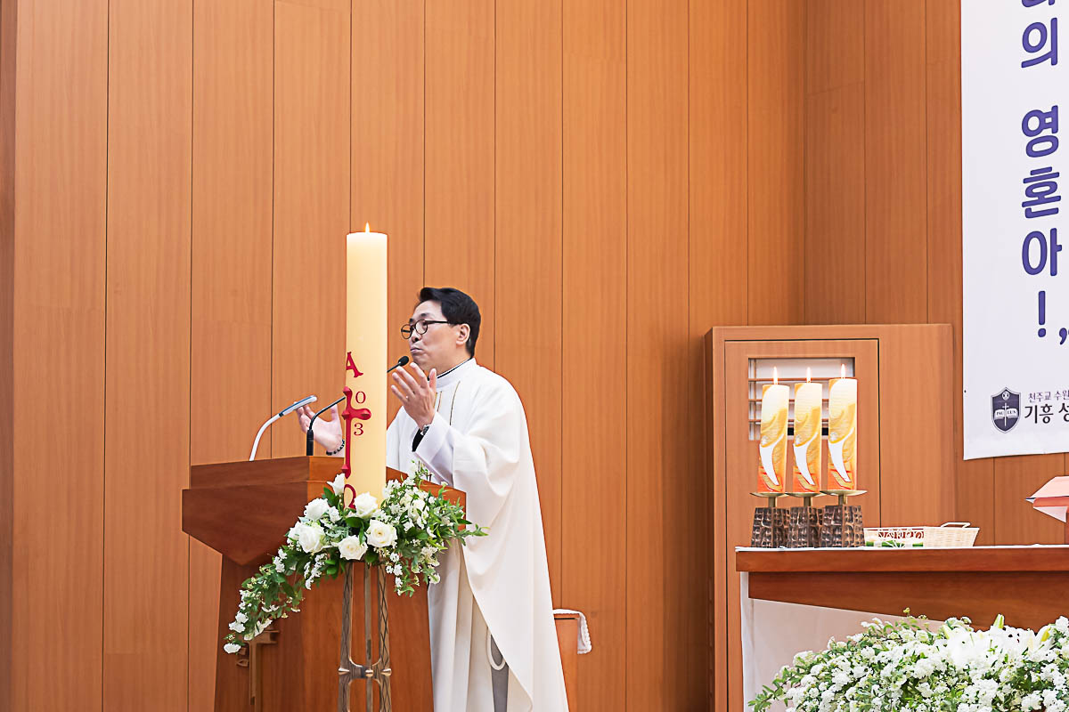 CDS8331.jpg