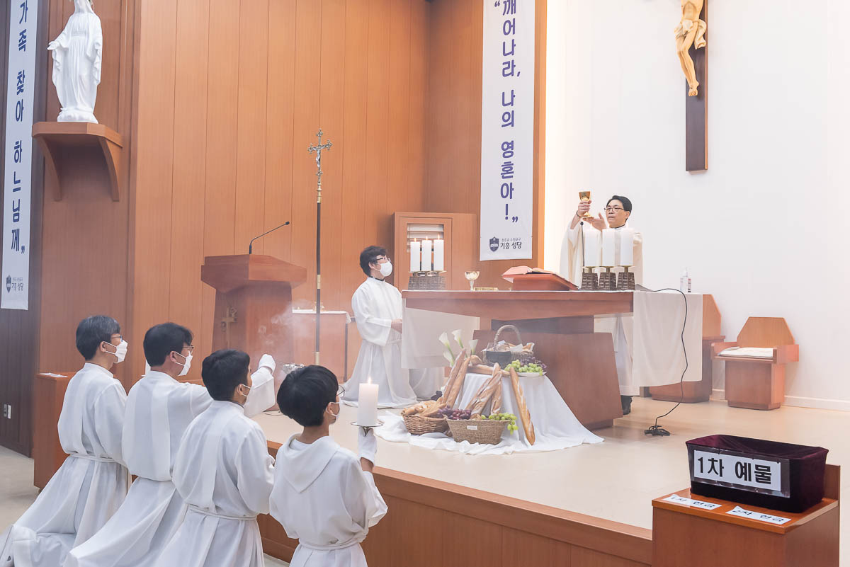CDS8004.jpg