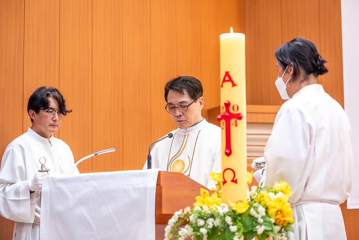 CDS8531.jpg
