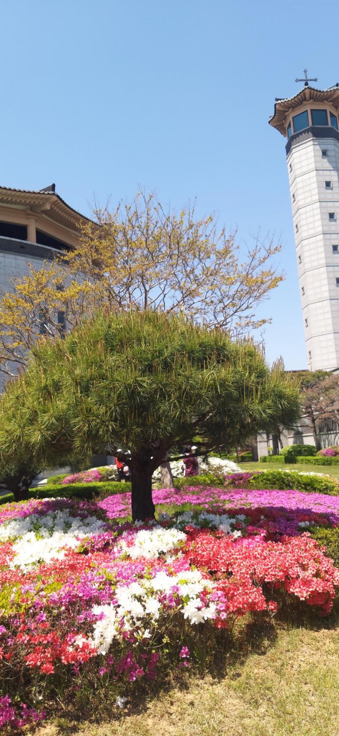 KakaoTalk_20220503_175541307_04.jpg