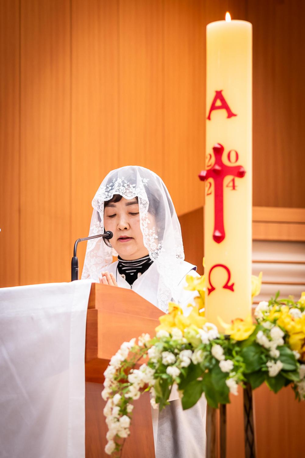 CDS8511.jpg