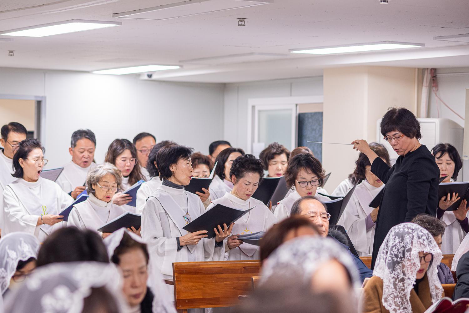 CDS6968.jpg